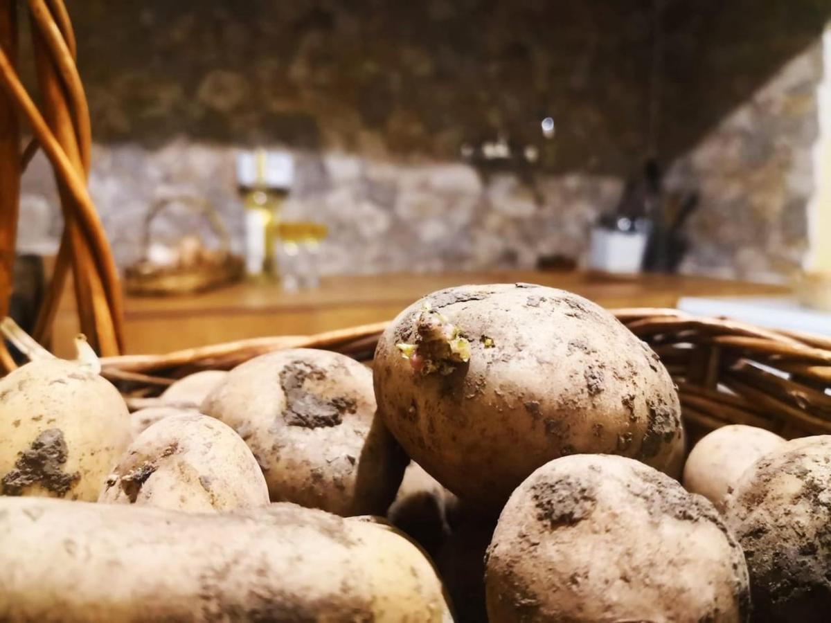 Casa Rural Los Organos De Arguamul Vallehermoso Zewnętrze zdjęcie