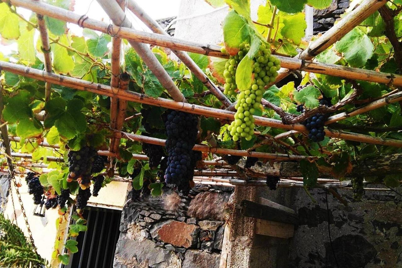 Casa Rural Los Organos De Arguamul Vallehermoso Zewnętrze zdjęcie